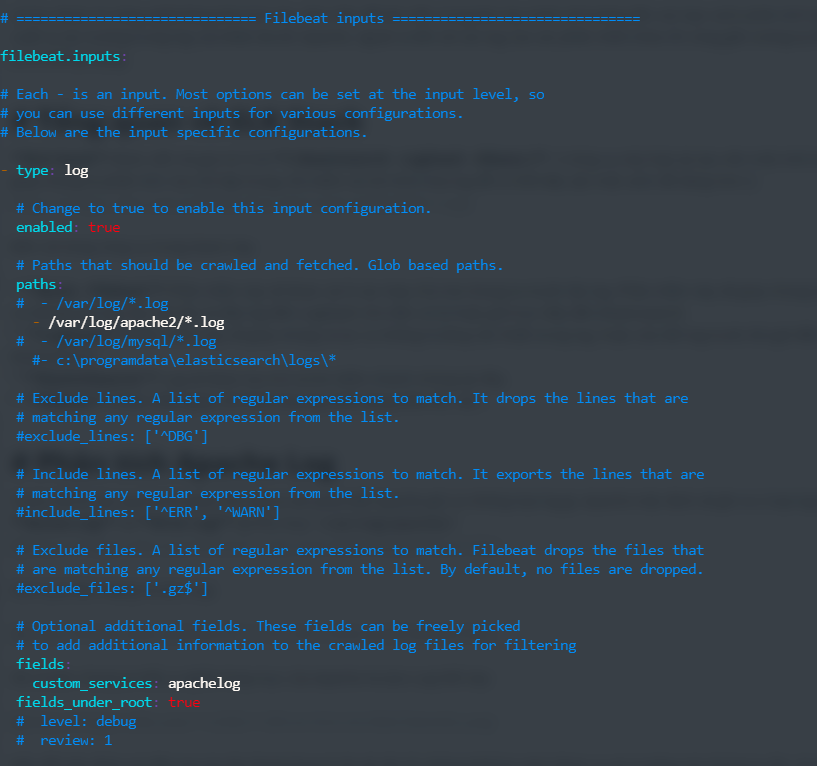 Filebeat configuration with custom_services field