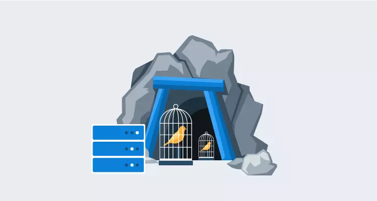Canary deployment concept
