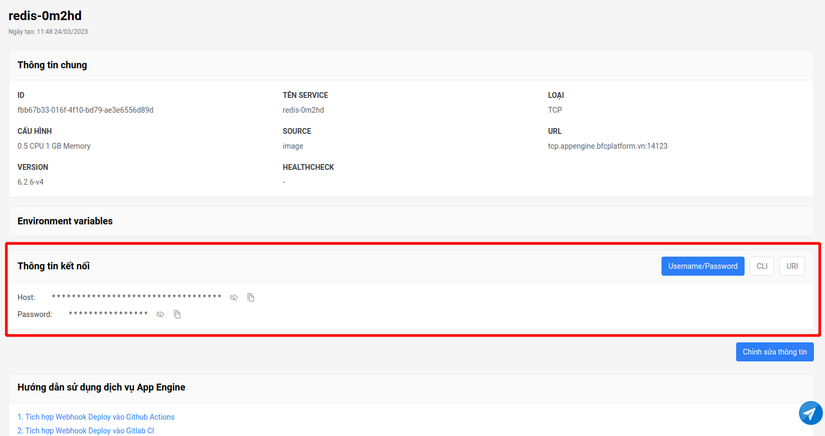Redis connection info