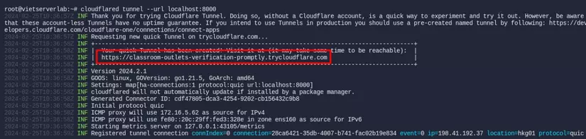 Quick tunnel output with generated domain