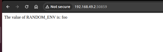 Stale environment variable value still shown