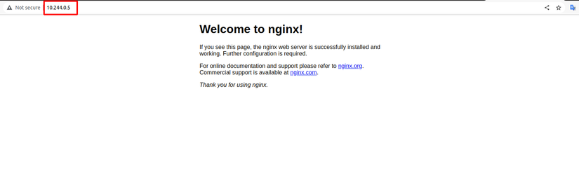 Accessing the pod IP in a browser